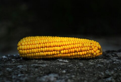 ethanol
