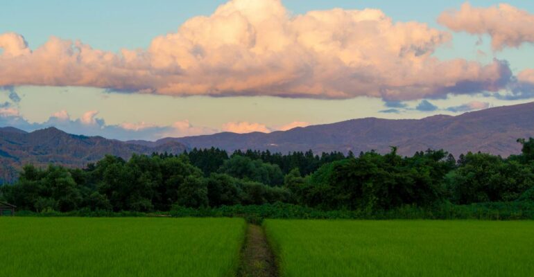 fukushima-pic