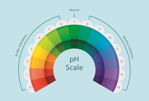 ph-scale