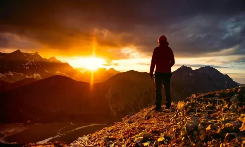 Concierge VIP Health Consulting